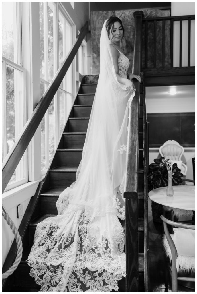 bridal portrait lace wedding dress lace veil