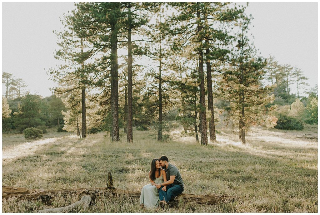 outdoor engagement session - nature engagement session - san diego engagement photographer - san diego wedding photographer - outdoor couples photos - mountain engagement session - casual engagement session outfits - dreamy modern engagement